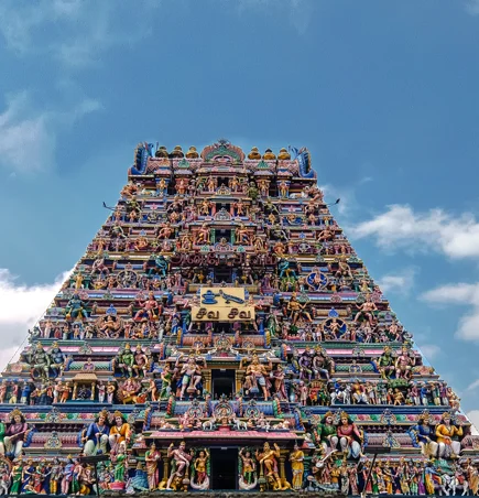 Chennai Office - Chennai